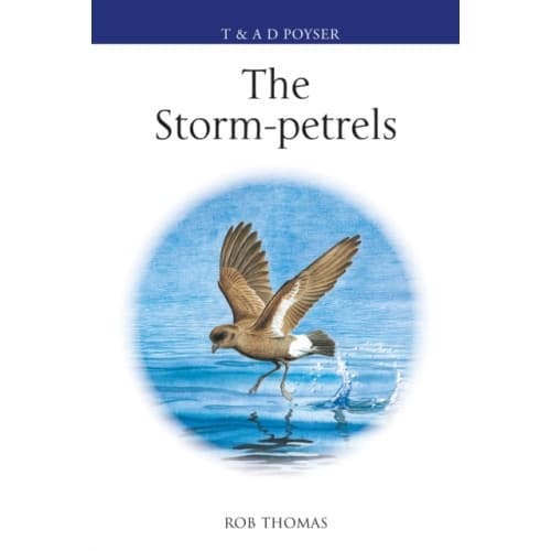 The Storm-petrels (inbunden, eng)