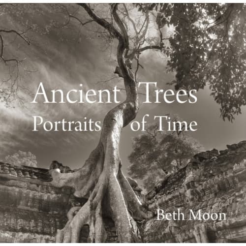 Ancient Trees (inbunden, eng)