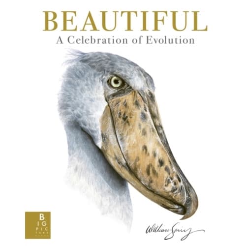 Beautiful (inbunden, eng)