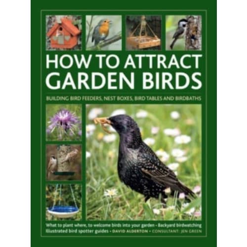 How to Attract Garden Birds (inbunden, eng)