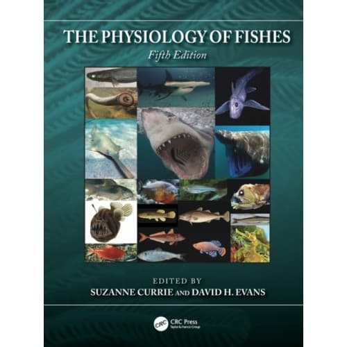 The Physiology of Fishes (häftad, eng)