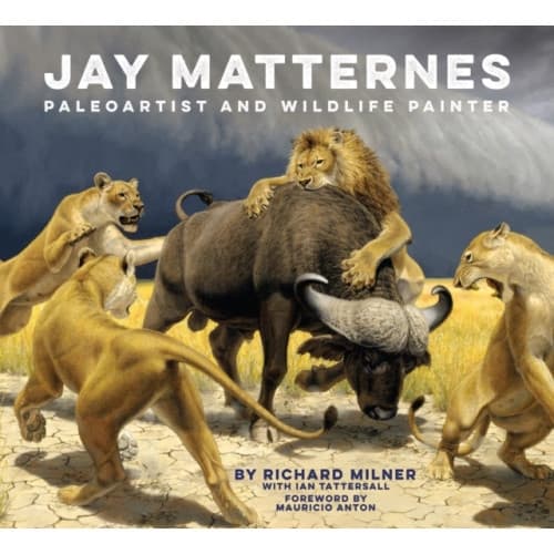 Jay Matternes (inbunden, eng)