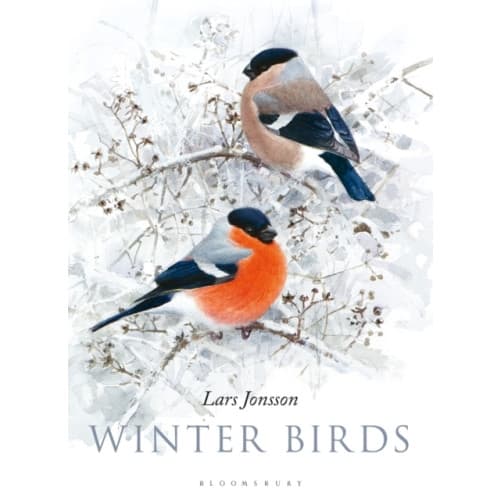 Winter Birds (inbunden, eng)