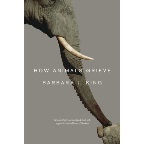 How Animals Grieve (häftad, eng)