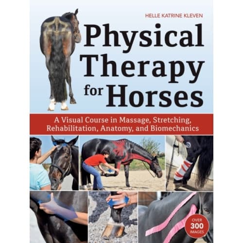 Physical Therapy for Horses (inbunden, eng)