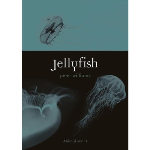 Jellyfish (häftad, eng)