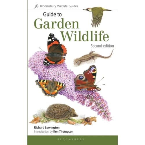 Guide to Garden Wildlife (2nd edition) (häftad, eng)