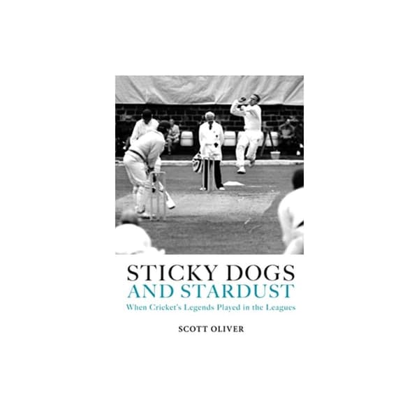 Sticky Dogs and Stardust (inbunden, eng)