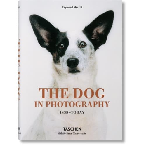 The Dog in Photography 1839–Today (inbunden, eng)