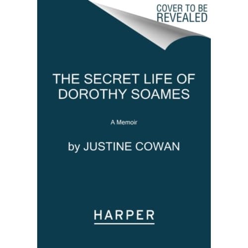 The Secret Life of Dorothy Soames (häftad, eng)