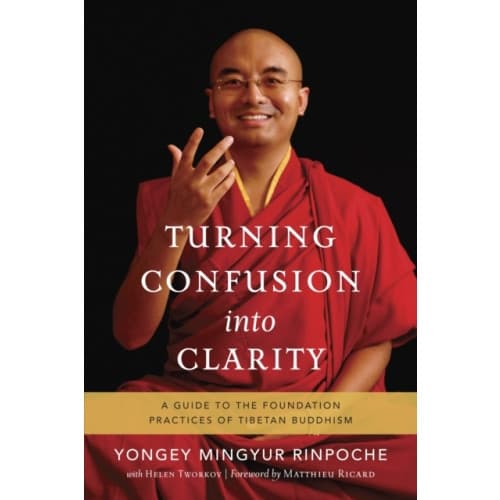 Turning Confusion into Clarity (häftad, eng)