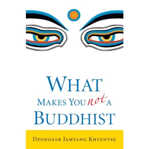 What Makes You Not a Buddhist (häftad, eng)