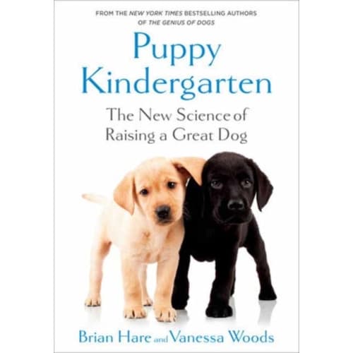 Puppy Kindergarten (inbunden, eng)