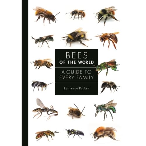 Bees of the World (inbunden, eng)