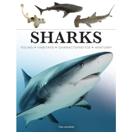 Sharks & Underwater Predators (häftad, eng)