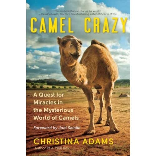 Camel Crazy (häftad, eng)