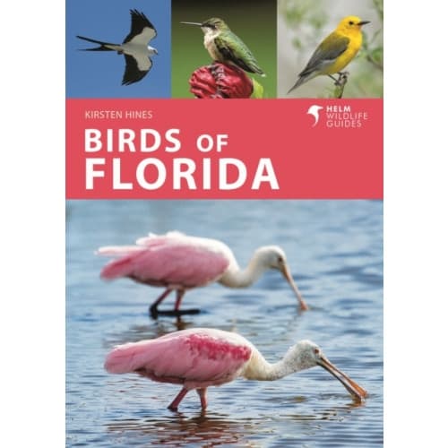 Birds of Florida (häftad, eng)
