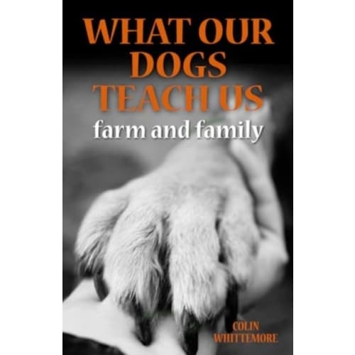 What Our Dogs Teach Us (inbunden, eng)