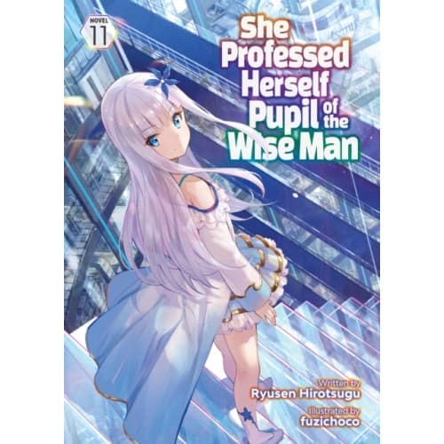 She Professed Herself Pupil of the Wise Man (Light Novel) Vol. 11 (häftad, eng)