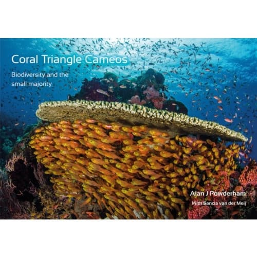 Coral Triangle Cameos (inbunden, eng)