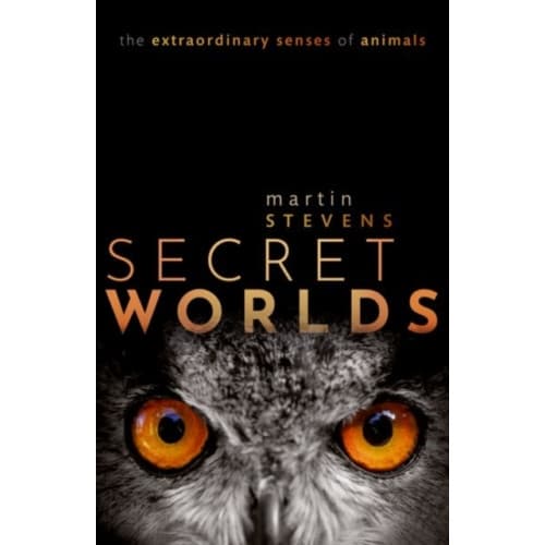 Secret Worlds (häftad, eng)
