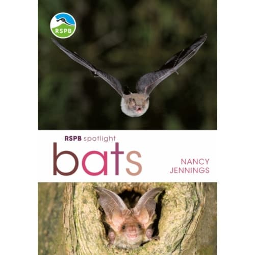 RSPB Spotlight Bats (häftad, eng)