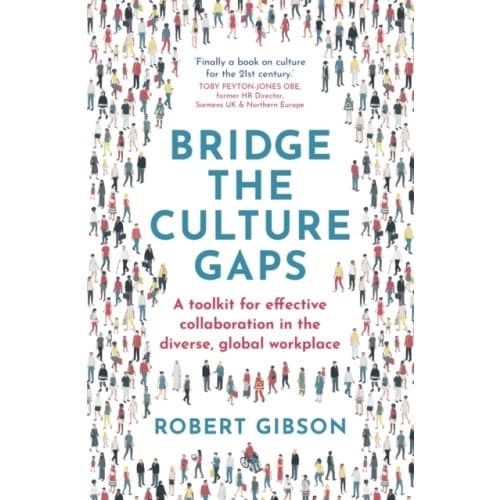 Bridge the Culture Gaps (häftad, eng)