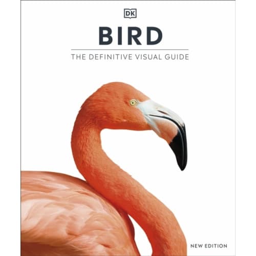 Bird (inbunden, eng)