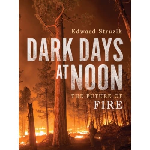 Dark Days at Noon (inbunden, eng)