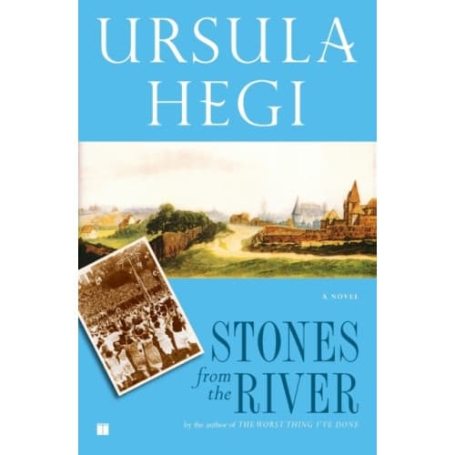 Stones from the River (häftad, eng)