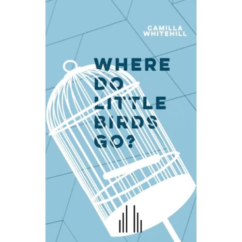 Where Do Little Birds Go? (häftad, eng)