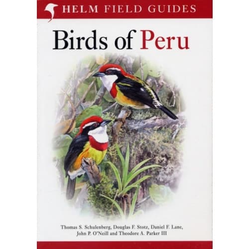Field Guide to Birds of Peru (häftad, eng)