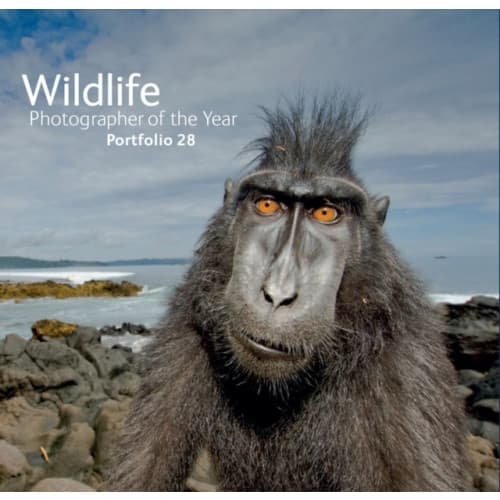 Wildlife Photographer of the Year: Portfolio 28 (inbunden, eng)