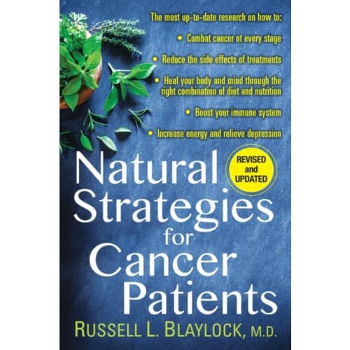 Natural Strategies for Cancer Patients (häftad, eng)
