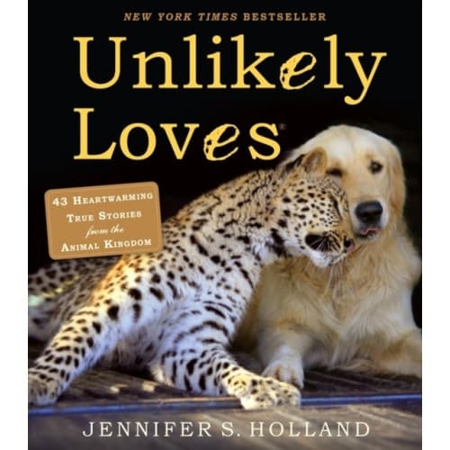 Unlikely Loves (häftad, eng)