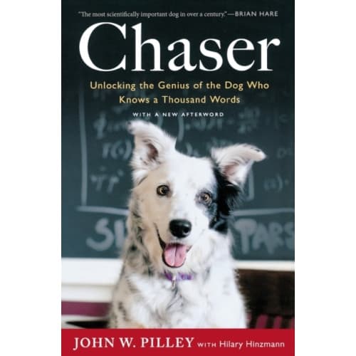 Chaser (häftad, eng)