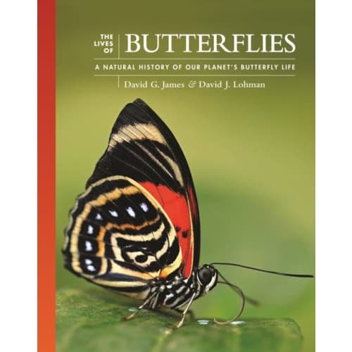 The Lives of Butterflies (inbunden, eng)