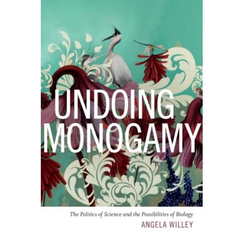 Undoing Monogamy (häftad, eng)