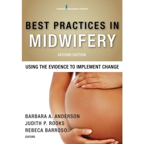Best Practices in Midwifery (häftad, eng)