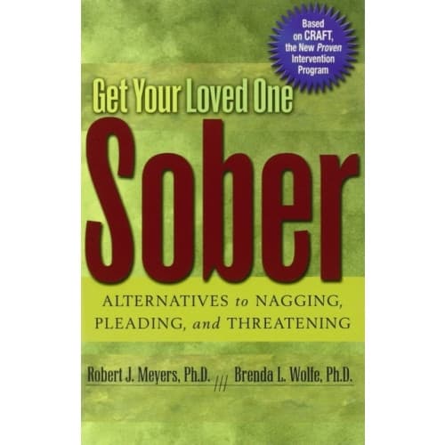 Get Your Loved One Sober (häftad, eng)
