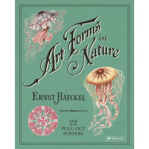 Ernst Haeckel: Art Forms in Nature: 22 Pull-Out Posters (häftad, eng)