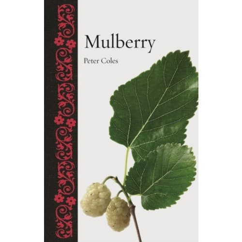 Mulberry (inbunden, eng)
