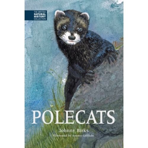 Polecats (inbunden, eng)