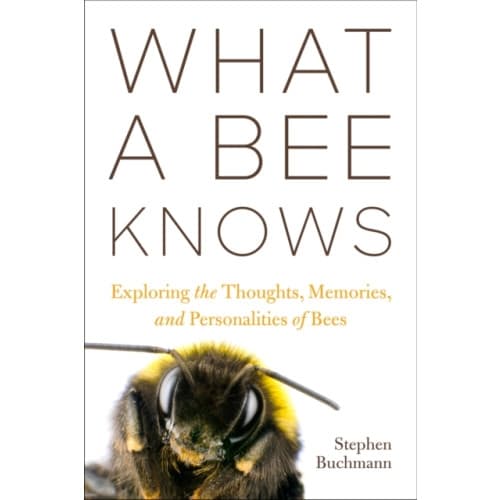 What a Bee Knows (inbunden, eng)
