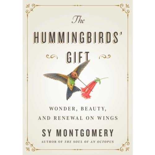 The Hummingbirds' Gift (inbunden, eng)