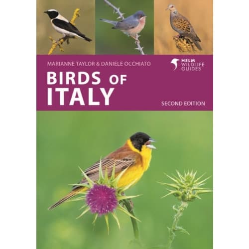 Birds of Italy (häftad, eng)
