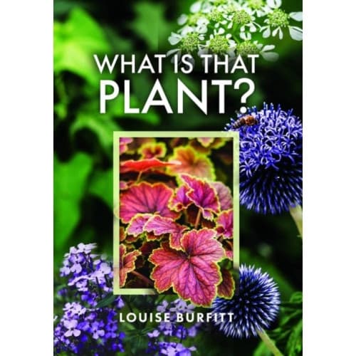 What is that Plant? (inbunden, eng)