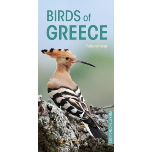 Birds of Greece (häftad, eng)