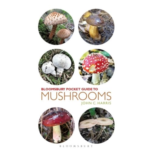 Pocket Guide to Mushrooms (häftad, eng)