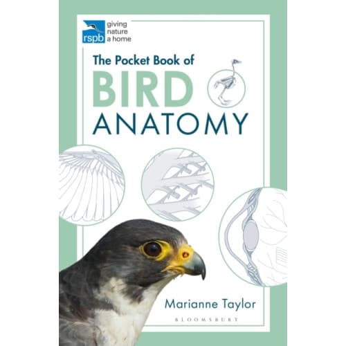 The Pocket Book of Bird Anatomy (häftad, eng)